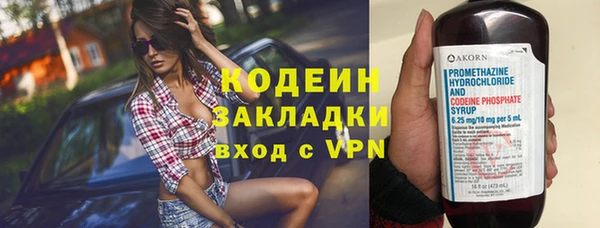 сатива Новодвинск