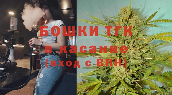 мдпв Новозыбков