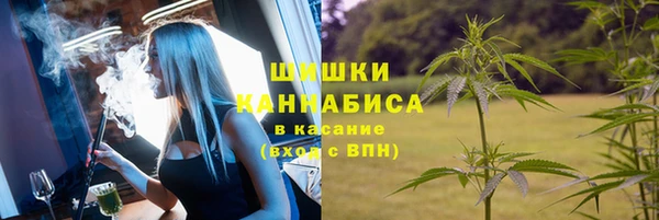 сатива Новодвинск