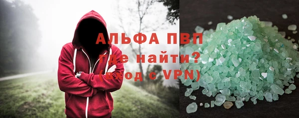 сатива Новодвинск