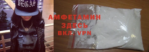 сатива Новодвинск