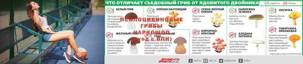 сатива Новодвинск