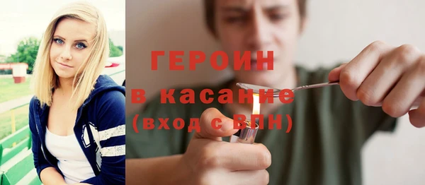 сатива Новодвинск