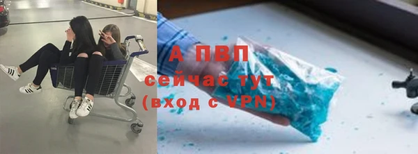мдпв Новозыбков