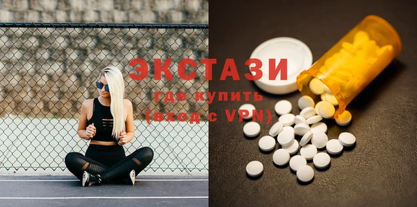 сатива Новодвинск