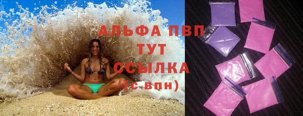 мдпв Новозыбков