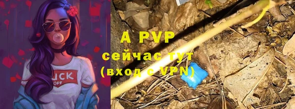 МДПВ Новокубанск