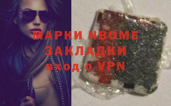 сатива Новодвинск