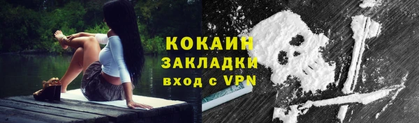 мдпв Новозыбков